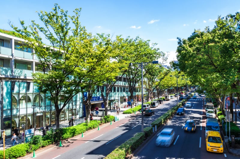 Aoyama＆Omotesando